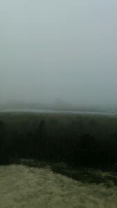 view of the bay at Whale Creek in the fog