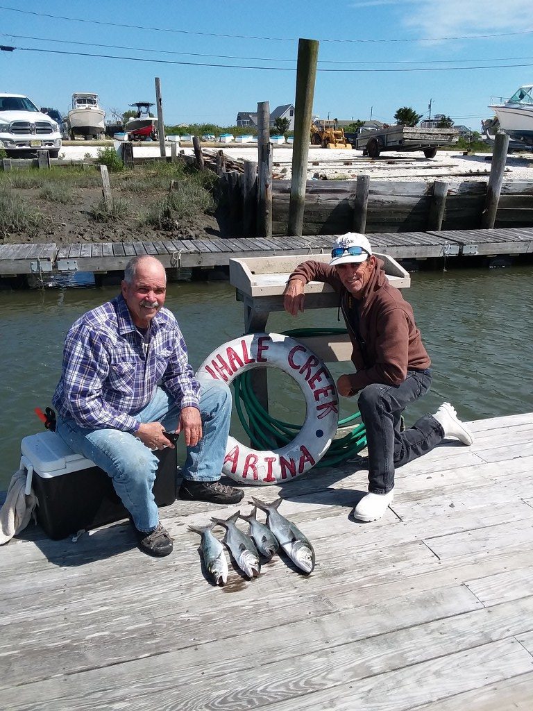 Some happy customers with their catch on the dock at Whale Creek Marina in May 2019